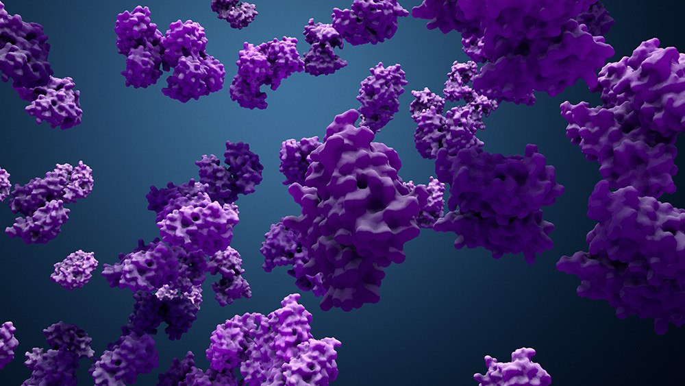 Protein Enzyme La imagen es una representación tridimensional compleja de moléculas proteicas de color morado que flotan sobre un fondo azul oscuro. Las moléculas varían en tamaño y están dispersas por todas partes, con una estructura compleja que presenta múltiples protrusiones y cavidades. La iluminación, que las da un aspecto brillante, las hace destacar.