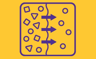 un fondo amarillo vibrante con un cuadrado morado en el centro que tiene esquinas redondeadas. Dentro del cuadrado, hay un diseño simétrico con tres flechas horizontales: una en la parte superior que apunta hacia la izquierda y la derecha, una en el centro que apunta hacia ambos lados desde el centro, y otra en la parte inferior que refleja la flecha superior. Una línea vertical baja de la flecha superior a la inferior a través de sus puntos de simetría. Esparcidos alrededor de estas flechas hay formas geométricas: círculos y diamantes o rombos. un fondo amarillo vibrante con un cuadrado morado en el centro que tiene esquinas redondeadas. Dentro del cuadrado, hay un diseño simétrico con tres flechas horizontales: una en la parte superior que apunta hacia la izquierda y la derecha, una en el centro que apunta hacia ambos lados desde el centro, y otra en la parte inferior que refleja la flecha superior. Una línea vertical baja de la flecha superior a la inferior a través de sus puntos de simetría. Esparcidos alrededor de estas flechas hay formas geométricas: círculos y diamantes o rombos.