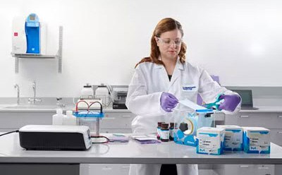 Scientist at a lab table working on Western blot Científico en una mesa de laboratorio trabajando en Western blot
