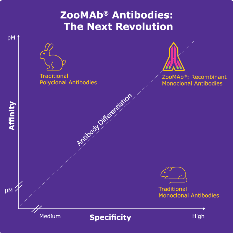 Tabla de calidad de los anticuerpos ZooMAb® Tabla de calidad de los anticuerpos ZooMAb®