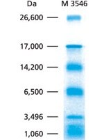 Ultra Low Range Protein Markers Marcadores de peso molecular ultra bajo para electroforesis en gel de proteínas
