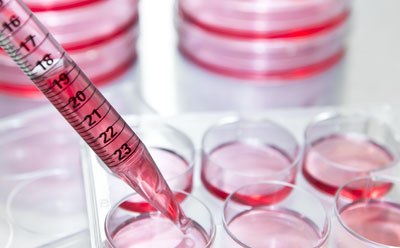 Pipetas serol&oacute;gicas para dispensar medios de cultivo celular