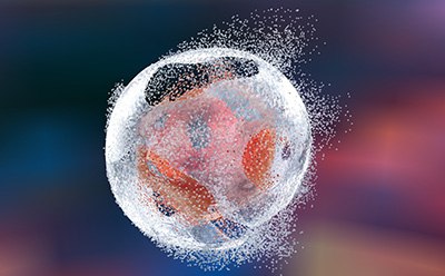 Cell Lysis with Cell Lysis Buffers, Reagents, and Enzymes for Protein Extraction prueba