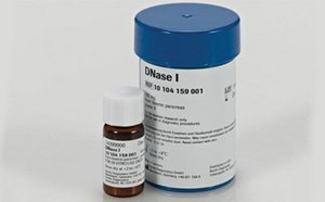 ADNasa I, desoxirribonucleasa, desoxirribonucleato 5′-oligonucleótido-hidrolasa