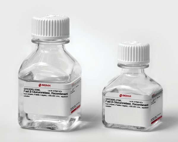 β-Glucuronidase from patella vulgata Enzimas β-glucuronidasa y sulfatasa para análisis farmacológicos