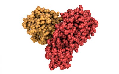 Proteolytic enzymes Lista de enzimas proteolíticas