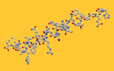 reference standards for biomarker analysis and metabolomics hormones and amino acids reference standards for biomarker analysis and metabolomics