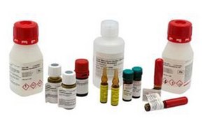 Colección de varias botellas y recipientes químicos con diferentes tamaños, formas y colores. Algunas botellas tienen tapas rojas y etiquetas con símbolos de peligro que indican sustancias inflamables y corrosivas. Hay también pequeños viales con líquido amarillo, junto con tubos con tapones blancos.