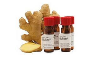 La imagen muestra una raíz de jengibre parcialmente cortada junto a tres pequeñas botellas de una medicina marrón o un aceite esencial con tapones rojos y etiquetas blancas, sobre un fondo blanco liso.