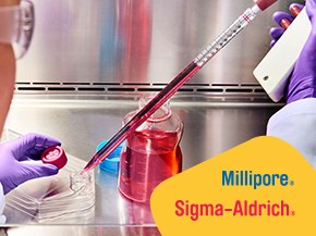 Gloved hands pipette red cell culture medium from a bottle into labware inside a biosafety cabinet; Millipore · Sigma‑Aldrich logo in the corner.