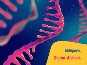 A close-up, colorful illustration of a molecular structure resembling mRNA, set against a blue background. The image features pink and purple strands with a dynamic, swirling pattern. In the lower right corner, there is a yellow banner with the text 'Millipore. Sigma-Aldrich.