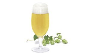 Glass of beer