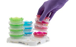 A gloved hand (wearing a purple nitrile glove) handling a stack of petri dishes filled with colorful culture media. The petri dishes are organized in stacks by color, including green, blue, pink, and red.