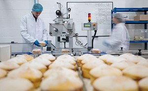 Frutas, verduras, frutos secos, judías y bayas variadas en cuencos