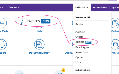 Account Menu Dropdown Enlace de búsqueda de pedidos