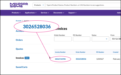 Invoice Center - Download Location Mostrando la ubicación de descarga de la factura