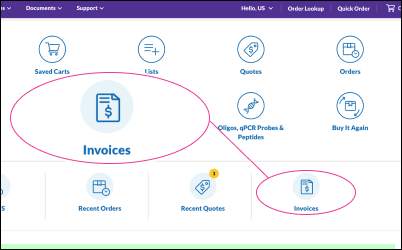 Invoice Center Access Points RCHP Vista del formulario de búsqueda de pedidos