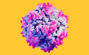 Viral Therapies Drawing of a virus.