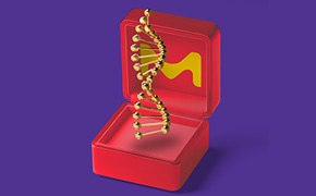 Red jewellery box with yellow vibrant M on purple background, showing a golden DNA.