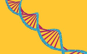A stylized representation of a DNA double helix with blue strands and red rungs, set against a bright yellow background.