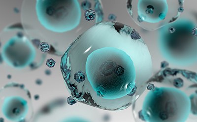 Cell Line Characterization Cell Line Characteriyzation