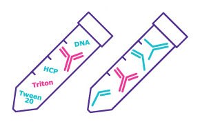 mAb process and product impurities Monoclonal antibody (mAb) based assay families for assessment of process and product impurities