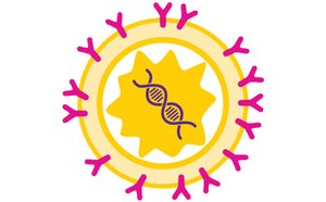 Caracterizaci&oacute;n y desarrollo anal&iacute;tico de productos de viroterapia y genoterapia