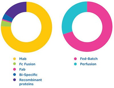 Tirez parti de nos 30&nbsp;ans d&apos;exp&eacute;rience sur un large &eacute;ventail de biomol&eacute;cules, avec plus de 260&nbsp;projets men&eacute;s &agrave; terme
