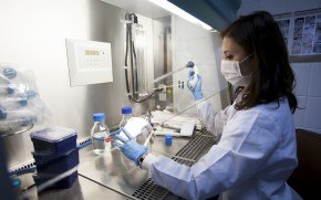 mAb bulk harvest release testing El análisis del concentrado a granel de AcM puede confirmar la ausencia de agentes extraños y ayudar a proteger las siguientes etapas del procesamiento