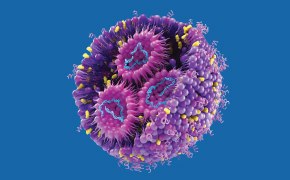 Drug Product – mRNA Encapsulated in LNP Una representación detallada y coloreada de una partícula de virus con espigas y una forma esférica sobre un fondo azul oscuro.