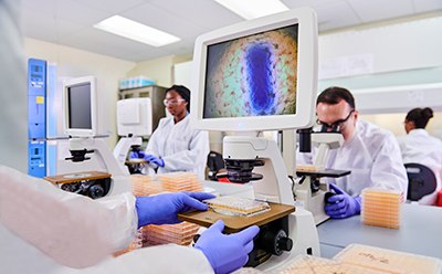 Genetic Stability Testing Análisis de estabilidad genética