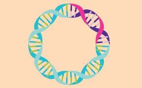 Plasmid DNA Una disposición circular de hebras de ADN entrelazadas en colores vibrantes sobre un fondo melocotón suave.