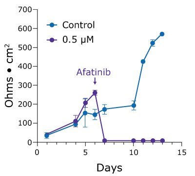 Afatinib-treated Duo87 TEER values