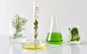 Analysis of pesticides in our environment