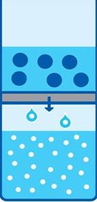 Ultrafiltration for concentration of virus. Ultrafiltration for concentration of virus. Fluid passes through the membrane filter, while large viral particles are retained.