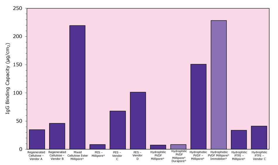 Graphical Protein Comparisons Graphical Protein Comparison