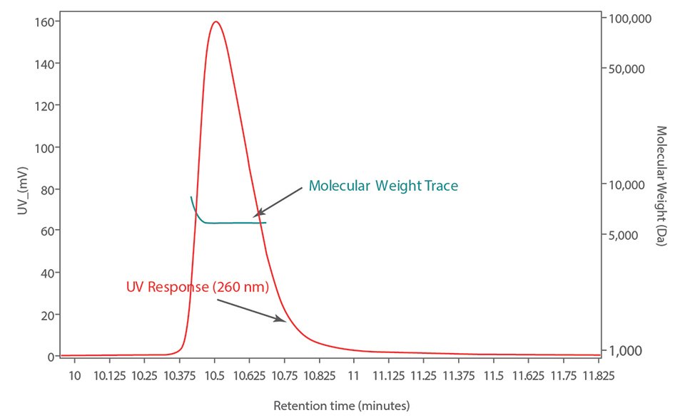Molecular Weight distribution (green) of the purified 20-mer Molecular Weight distribution (green) of the purified 20-mer after MALS analysis