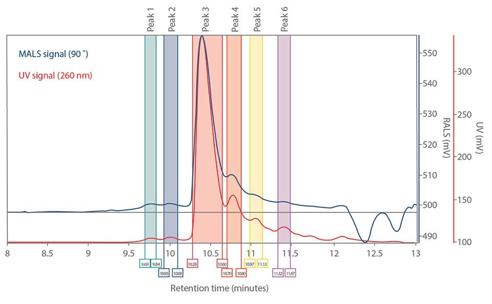 Peak analysis of the unpurified 20-mer Peak analysis of the unpurified and purified 20-mer after MALS analysis