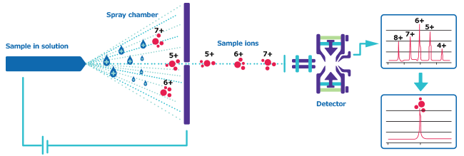 A schematic for <a href="/US/en/technical-documents/technical-article/genomics/qpcr/custom-dna-oligos-qc-analysis-by-mass-spectrometry">ESI-MS</a> (electrospray ionization mass spectrometry) A schematic for ESI-MS (electrospray ionization mass spectrometry).