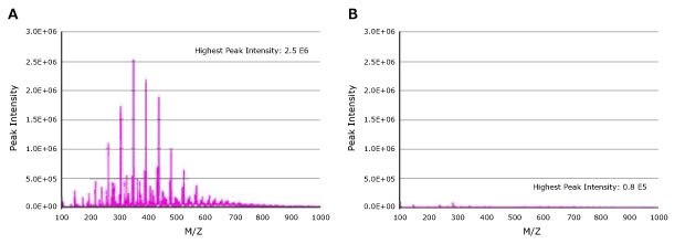Extractables profiles of syringe filters for mass spectrometry Left - extractable profile of polypropylene filters and right - extractable profile of hydrophilic filters using mass spectrometry. The polypropylene mass spectrum for the hydrophobic polypropylene filters shows seven prominent contaminating extractable peaks between 200 and 600 m/z. The mass spectrum for hydrophilic filters does not show any detectable contaminating extractables peaks.