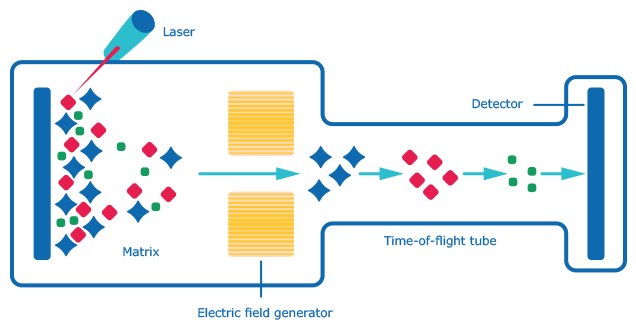 Schematic for <a href="/US/en/technical-documents/technical-article/genomics/qpcr/custom-dna-oligos-qc-analysis-by-mass-spectrometry">MALDI-TOF MS</a> (matrix-assisted laser desorption/ionization-time of flight mass spectrometry Schematic for MALDI-TOF MS (matrix-assisted laser desorption/ionization-time of flight mass spectrometry