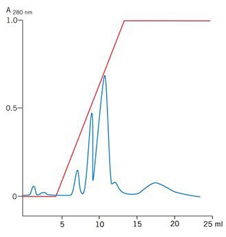 Graph of egg white protein purification on HiTrap® Chelating HP 1 mL with Cu<sup>2+</sup>. The x-axis shows volume (0-25 ml) and the y-axis shows absorbance at 280 nm, with a blue line indicating protein peaks and a red line showing a steady increase.