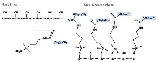 Ascentis® Express RP-Amide HPLC Columns Next Generation One-step Bonding Process for EPG Amide Phases