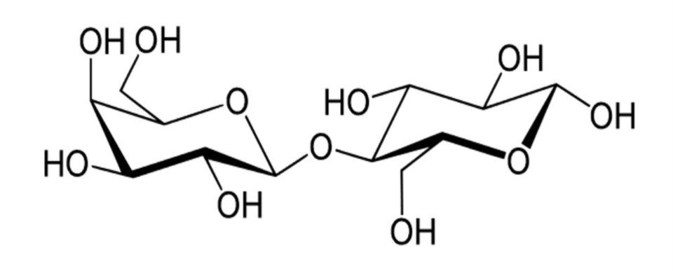 Chemical Structure of Lactose Image showing the chemical structure of lactose