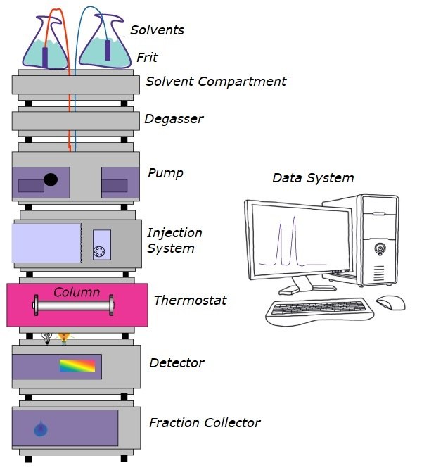 Components of an HPLC System The image illustrates the typical components of an HPLC (High-Performance Liquid Chromatography) system. At the top are two beakers containing solvents on a grey block representing the solvent compartment. Below the solvent compartment is the degasser, followed by the pump and then the injection system. Beneath the injection system is a yellow-colored block representing the thermostat, within which a column is visible. Below the thermostat is a grey block representing the detector, followed by the fraction collector. On the right side of the image, there is a computer screen displaying a chromatogram, accompanied by a keyboard, mouse, and CPU, representing the data acquisition system.