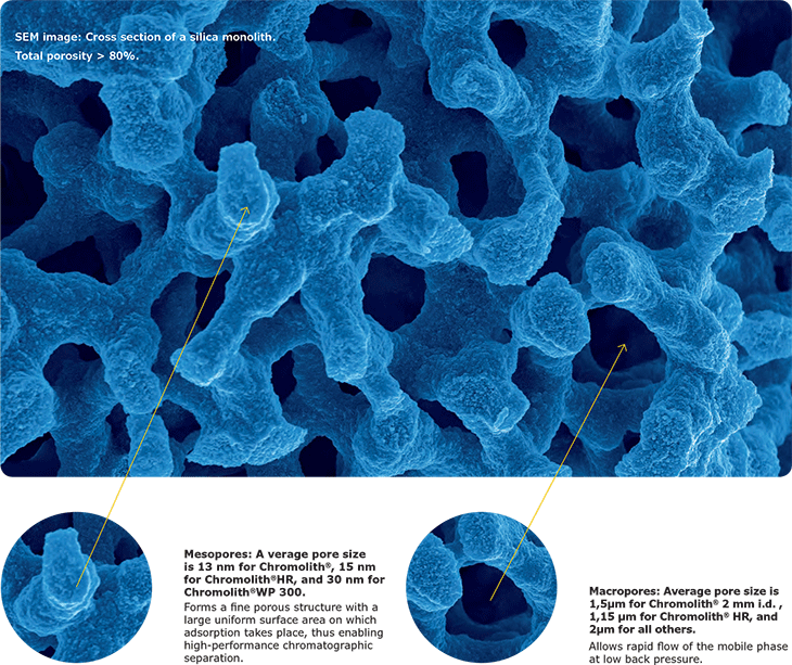 cross-section-silica-monolith Silica monolithic HPLC column for low back pressure separations