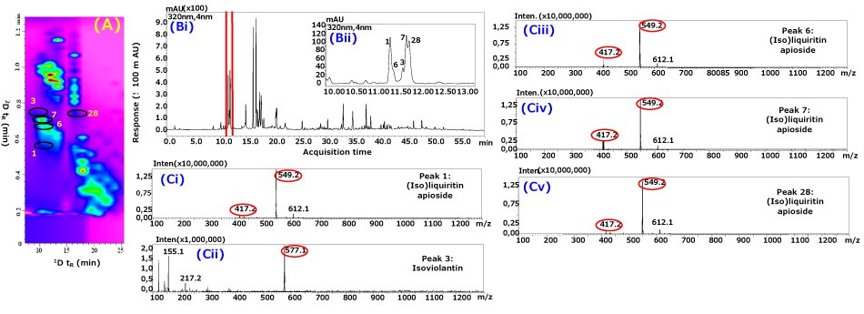Selected time interval contour plots and pure MS spectra of compounds obtained from licorice extract A composite of several analytical plots and spectra related to the RP-LC×RP-LC-PDA-MS analysis of licorice extract. On the left, section (A) shows a contour plot focusing on a time interval from 7.5 to 25 minutes, highlighting the separation of peaks 1, 3, 6, 7, and 28. This plot features a colorful background with distinct contours marking different compounds. To the right, section (Bi) presents a 1D-LC chromatogram of the licorice extract, displaying a series of peaks over time, with the x-axis labeled as acquisition time and the y-axis showing response. An inset labeled (Bii) expands a rectangular region from (Bi), providing a closer view of peaks around 10 to 13 minutes. Below, sections (Ci), (Cii), (Ciii), (Civ), and (Cv) display mass spectra for peaks 1, 3, 6, 7, and 28, respectively. Each spectrum includes a series of vertical lines representing ion intensities at different mass-to-charge ratios (m/z), with key ions circled in red.