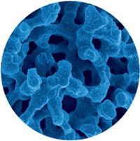 monolithic-silica-structure electron microscope image of monolithic silica structure