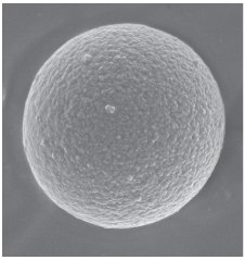 Porous Graphitic Carbon (PGC) Microscopic view of porous graphitic carbon (PGC) particle