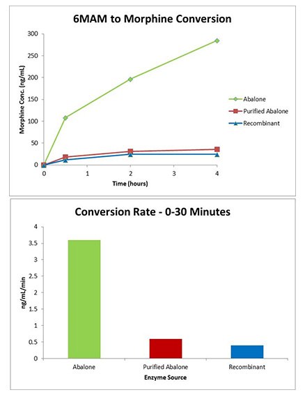 recombinant-gus-comparison recombinant-gus-comparison